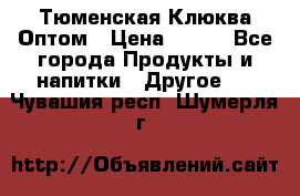 Тюменская Клюква Оптом › Цена ­ 200 - Все города Продукты и напитки » Другое   . Чувашия респ.,Шумерля г.